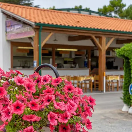 Mobil-home Adapté Pmr Avec Terrasse à - Api-1-52-664 Campeggio *