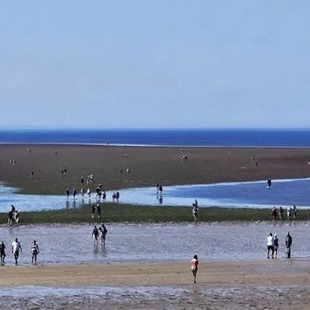 营地 Mobil-home Adapte Pmr Avec Terrasse A - Api-1-52-664 山地圣母村